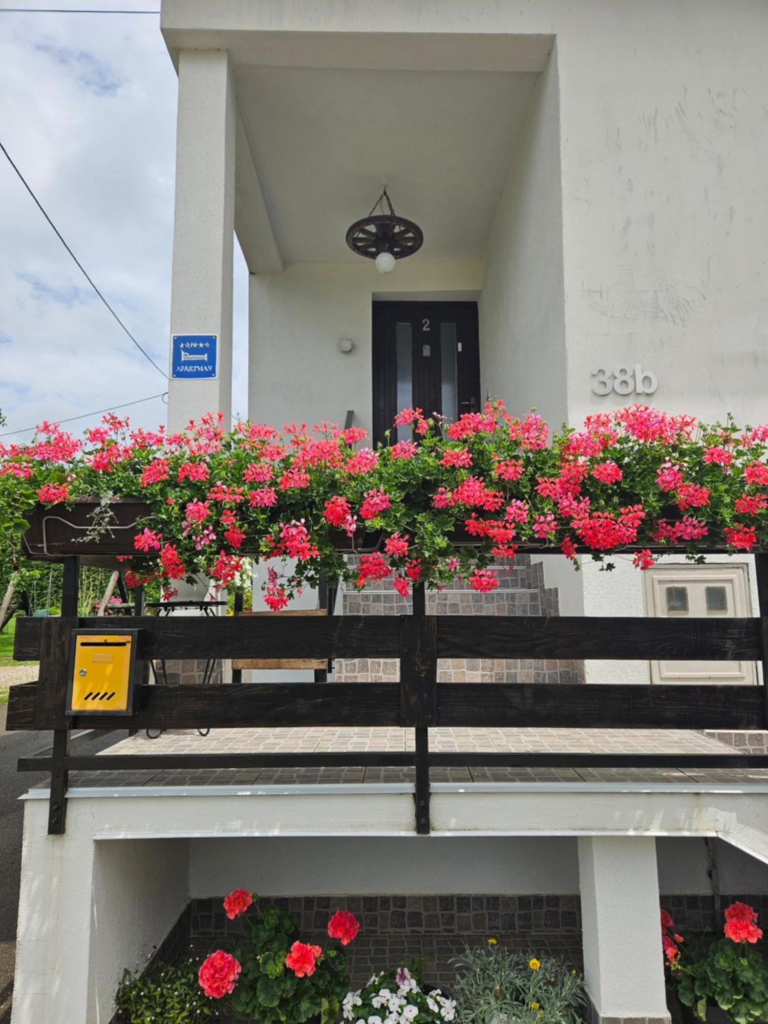 Apartments Luka Rakovica Dış mekan fotoğraf